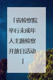 省检察院举行未成年人主题检察开放日活动