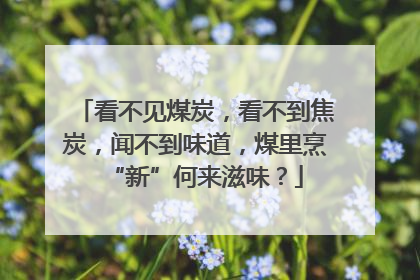 看不见煤炭，看不到焦炭，闻不到味道，煤里烹“新”何来滋味？