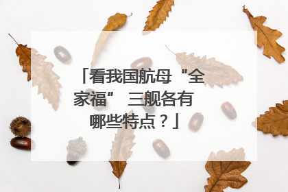 看我国航母“全家福” 三舰各有哪些特点？