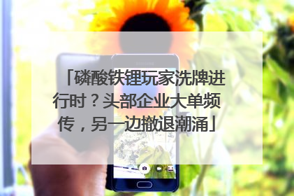 磷酸铁锂玩家洗牌进行时？头部企业大单频传，另一边撤退潮涌