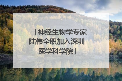 神经生物学专家陆伟全职加入深圳医学科学院