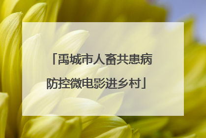 禹城市人畜共患病防控微电影进乡村