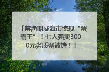 禁渔期威海市惊现“蟹霸王”！七人强卖3000元劣质蟹被铐！