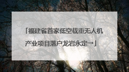 福建省首家低空载重无人机产业项目落户龙岩永定→