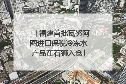 福建首批瓦努阿图进口保税冷冻水产品在石狮入仓