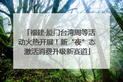 福建·厦门台湾周等活动火热开展！新“夜”态激活消费升级新赛道