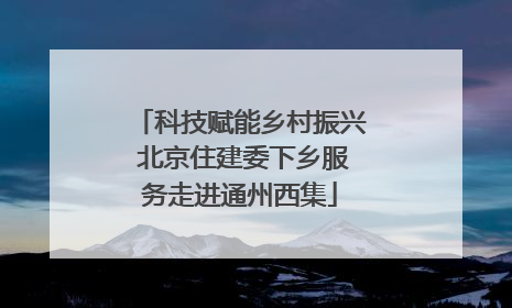 科技赋能乡村振兴 北京住建委下乡服务走进通州西集