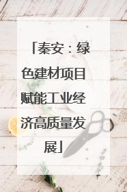 秦安：绿色建材项目赋能工业经济高质量发展