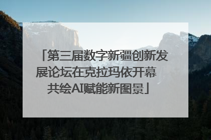 第三届数字新疆创新发展论坛在克拉玛依开幕 共绘AI赋能新图景