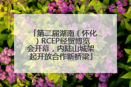 第二届湖南（怀化）RCEP经贸博览会开幕，内陆山城架起开放合作新桥梁