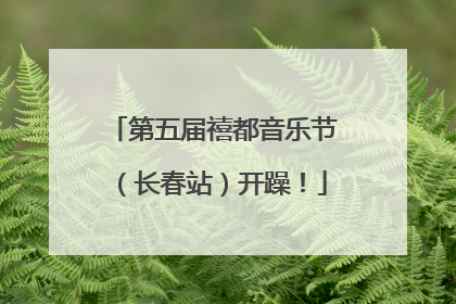 第五届禧都音乐节（长春站）开躁！
