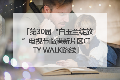 第30届“白玉兰绽放”电视节临港新片区CITY WALK路线