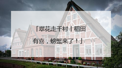翠花走千村丨稻田有喜，螃蟹来了！