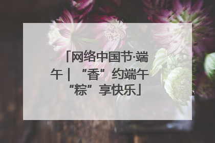 网络中国节·端午｜“香”约端午 “粽”享快乐