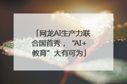 网龙AI生产力联合国首秀，“AI+教育”大有可为