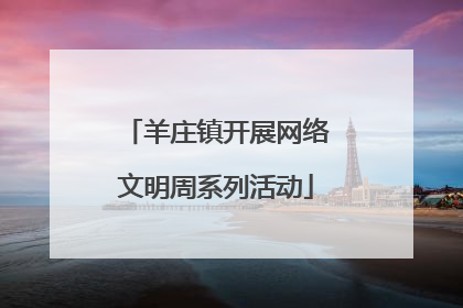 羊庄镇开展网络文明周系列活动
