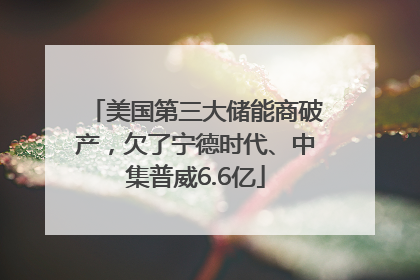 美国第三大储能商破产，欠了宁德时代、中集普威6.6亿