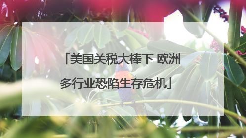 美国关税大棒下 欧洲多行业恐陷生存危机