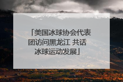 美国冰球协会代表团访问黑龙江 共话冰球运动发展