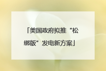 美国政府拟推“松绑版”发电新方案