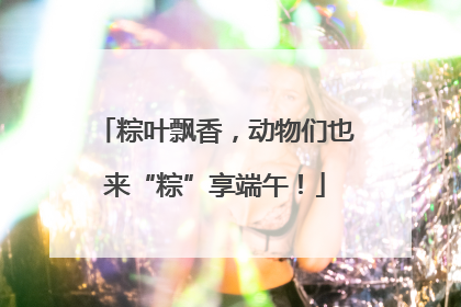 粽叶飘香，动物们也来“粽”享端午！
