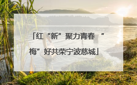 红“新”聚力青春 “梅”好共荣宁波慈城