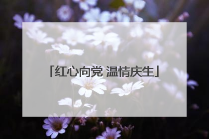 红心向党 温情庆生