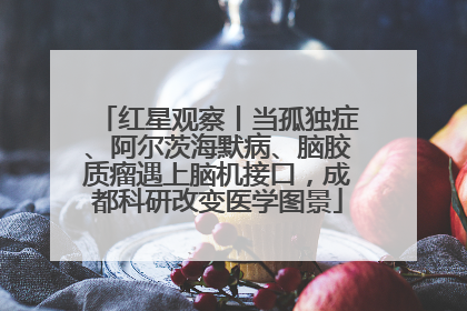 红星观察丨当孤独症、阿尔茨海默病、脑胶质瘤遇上脑机接口，成都科研改变医学图景