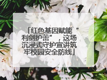 红色基因赋能“利剑护蕾”，这场沉浸式守护宣讲筑牢校园安全防线