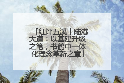 红评五溪丨陆港大道：以基建升级之笔，书鹤中一体化理念革新之章