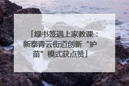 绿书签遇上家教课：新泰青云街道创新“护苗”模式获点赞