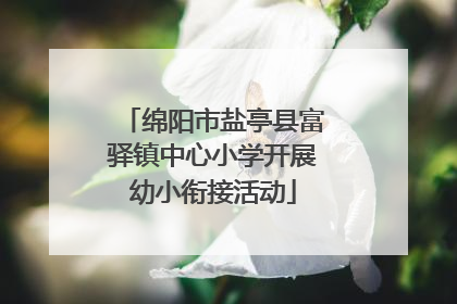 绵阳市盐亭县富驿镇中心小学开展幼小衔接活动