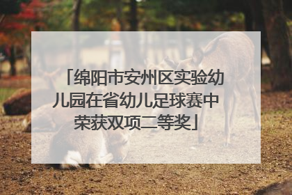 绵阳市安州区实验幼儿园在省幼儿足球赛中荣获双项二等奖
