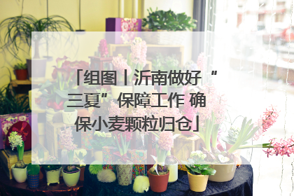 组图丨沂南做好“三夏”保障工作 确保小麦颗粒归仓