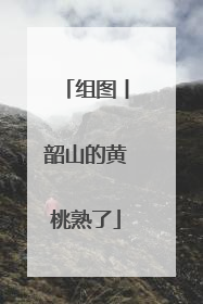 组图丨韶山的黄桃熟了