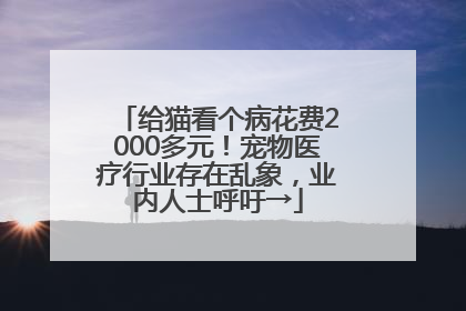 给猫看个病花费2000多元！宠物医疗行业存在乱象，业内人士呼吁→
