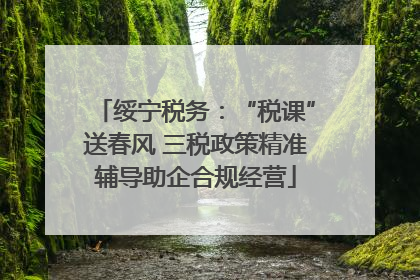 绥宁税务：“税课”送春风 三税政策精准辅导助企合规经营