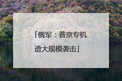 俄军：普京专机遭大规模袭击