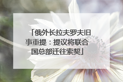 俄外长拉夫罗夫旧事重提：提议将联合国总部迁往索契