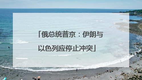 俄总统普京：伊朗与以色列应停止冲突