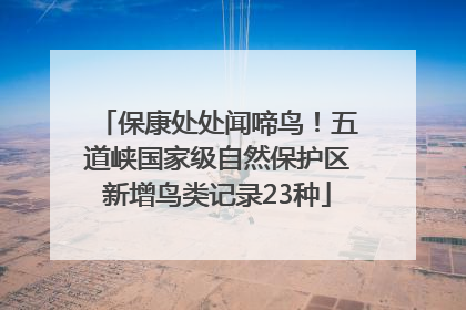 保康处处闻啼鸟！五道峡国家级自然保护区新增鸟类记录23种