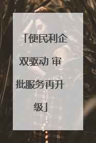 便民利企双驱动 审批服务再升级