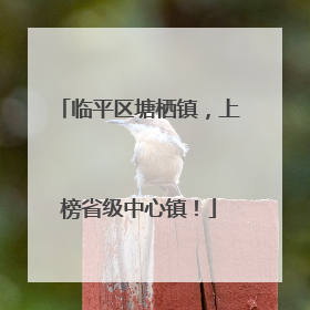 临平区塘栖镇，上榜省级中心镇！