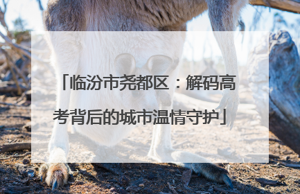 临汾市尧都区：解码高考背后的城市温情守护