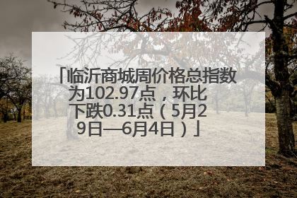 临沂商城周价格总指数为102.97点，环比下跌0.31点（5月29日—6月4日）