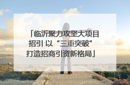临沂聚力攻坚大项目招引 以“三重突破”打造招商引资新格局