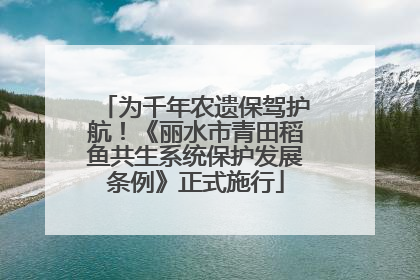 为千年农遗保驾护航！《丽水市青田稻鱼共生系统保护发展条例》正式施行