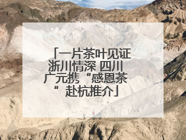 一片茶叶见证浙川情深 四川广元携“感恩茶”赴杭推介