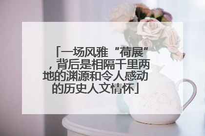 一场风雅“荷展”，背后是相隔千里两地的渊源和令人感动的历史人文情怀