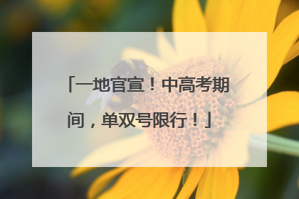 一地官宣！中高考期间，单双号限行！